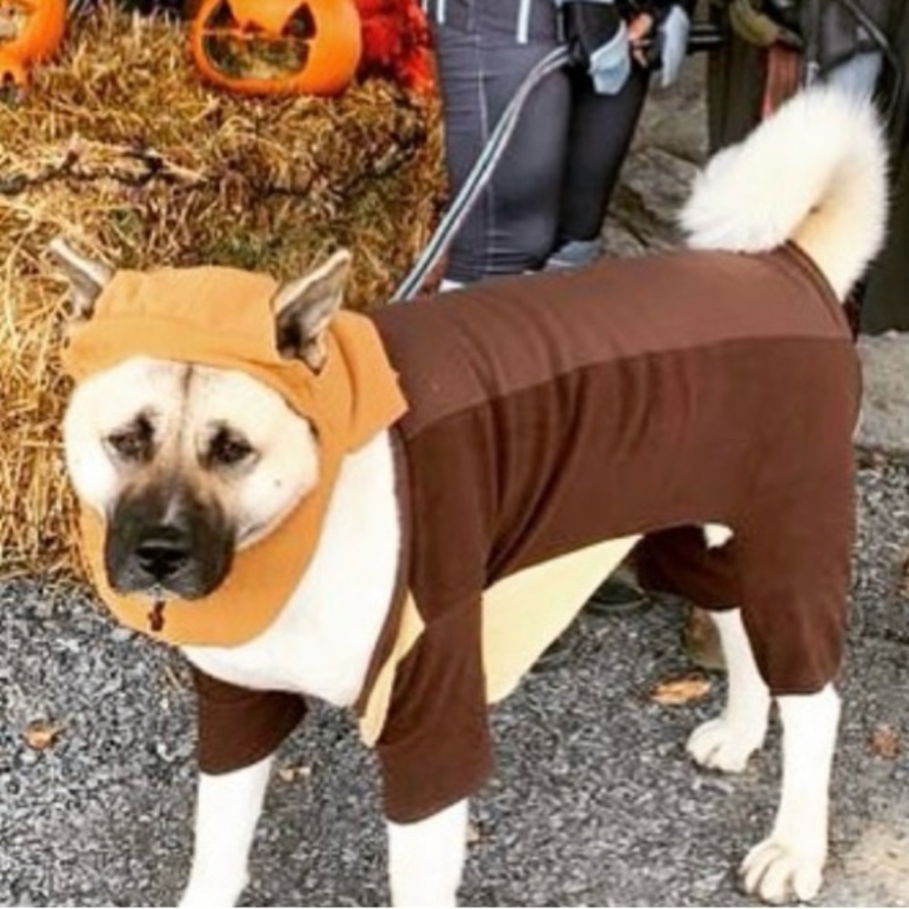 Ewok dog costume (XL)